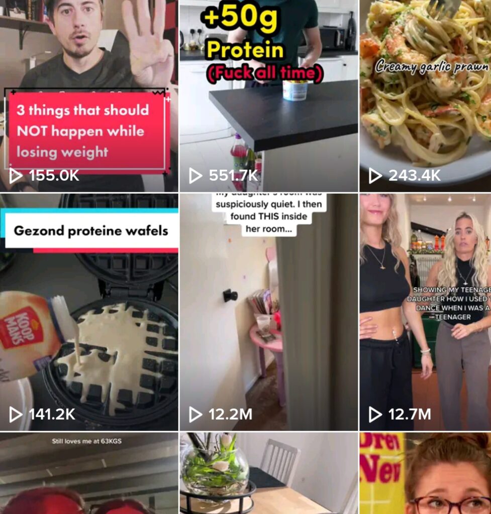 TikTok overzicht