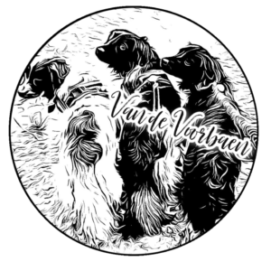 Voorbaen logo