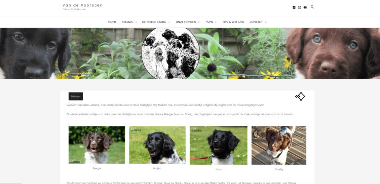 voorbaen.nl screen